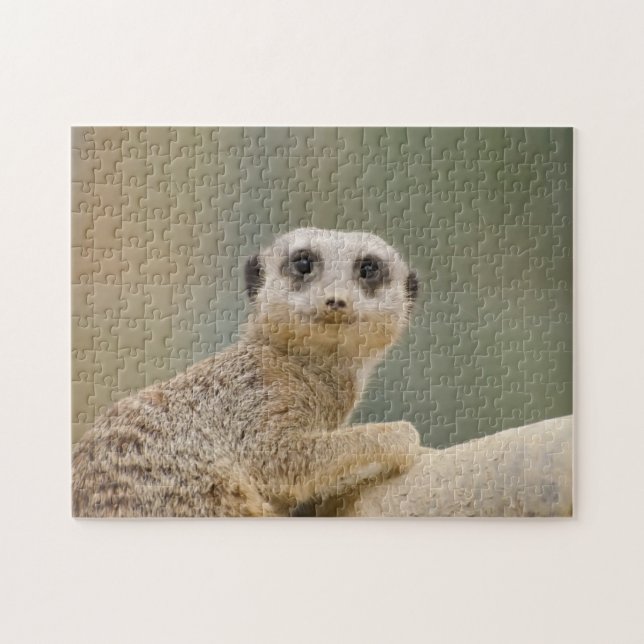 Mercats Africa Jigsaw Puzzle (Horizontal)