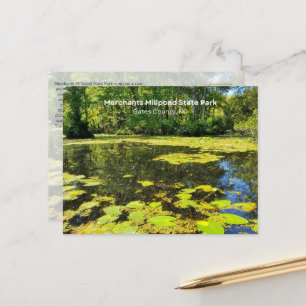 Merchants Millpond State Park, NC Postcard