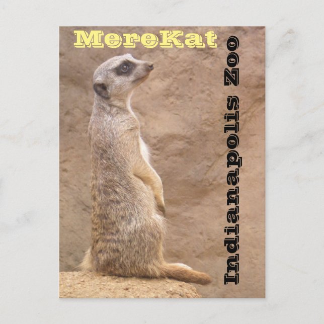 Merekat Indianapolis Zoo Postcard (Front)