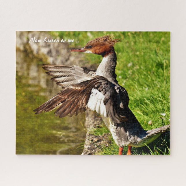 Merganser Duck Jigsaw Puzzle (Horizontal)