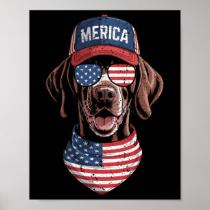 Merica Gsp Dog 4th Of July Us American Flag Usa Pa Poster