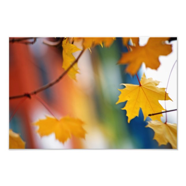 Meridian Fall. Photo Print (Front)