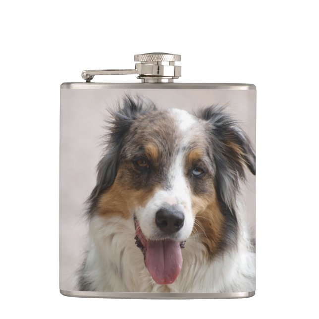merle aussie hip flask (Front)