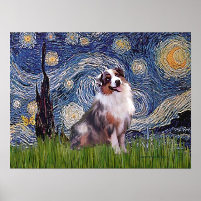 Merle  Aussie Shep  - Starry Night Poster (Front)