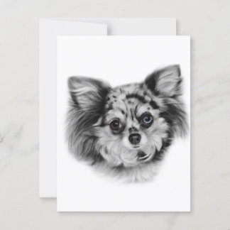 Merle Beauty - Hand Painted Chihuahua Portrait Postcard