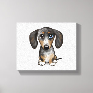 Merle Dapple Dachshund Cute Wiener Dog   Canvas Print