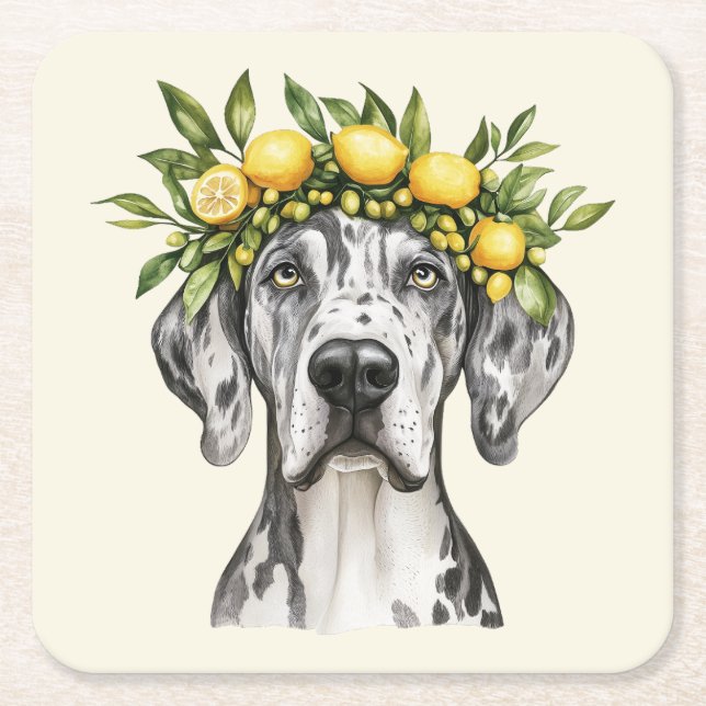 Merle Great Dane Dog Lemon Crown Square Paper Coaster (Front)