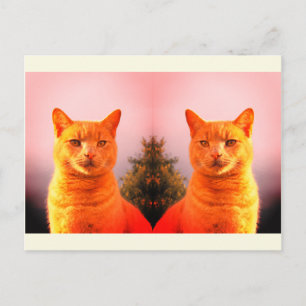 Merlin and angel twin cats postcard