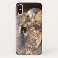 MERLIN FALCON BIRD OF PREY