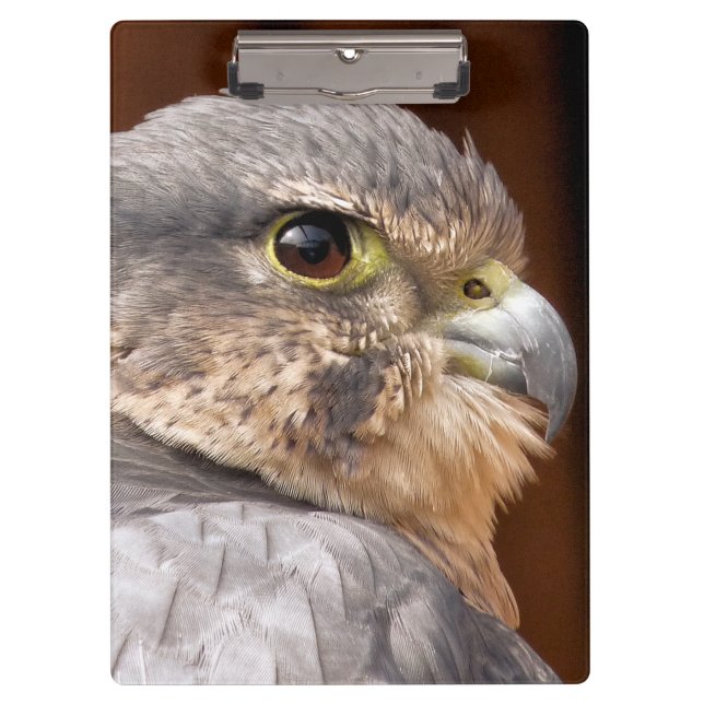 MERLIN FALCON BIRD OF PREY CLIPBOARD (Front)