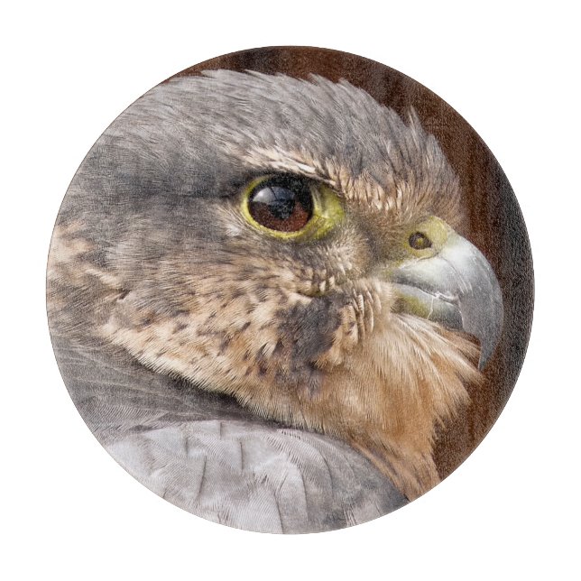 MERLIN FALCON BIRD OF PREY CUTTING BOARD (Front)