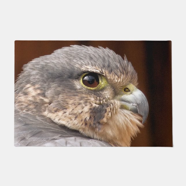 MERLIN FALCON BIRD OF PREY DOORMAT (Front)