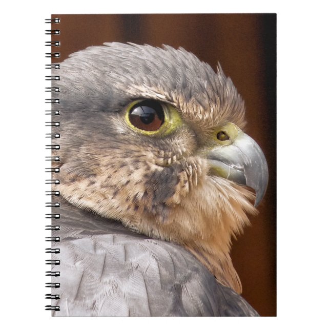 MERLIN FALCON BIRD OF PREY NOTEBOOK (Front)
