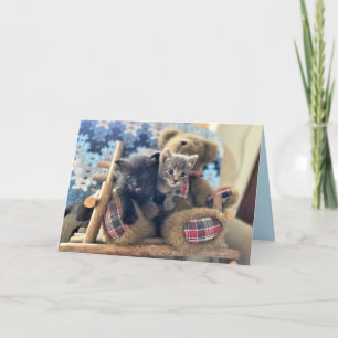 Merlin & Guinevere - Cat / Kitten Birthday Card