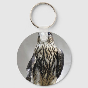 Merlin Key Ring