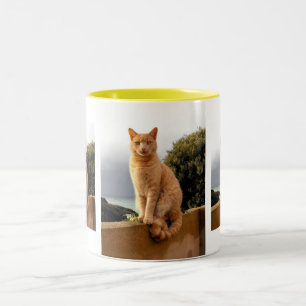 Merlin on the garden wall Two-Tone coffee mug