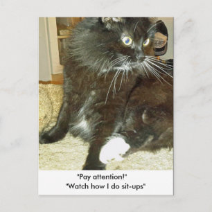 Merlin's Sit-up Exercise Postcard