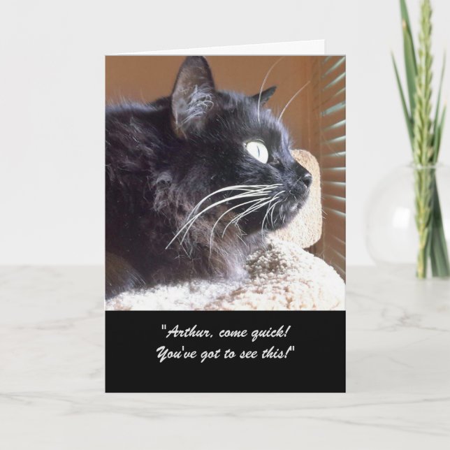 Merlin's View Story Greeting Card (Front)