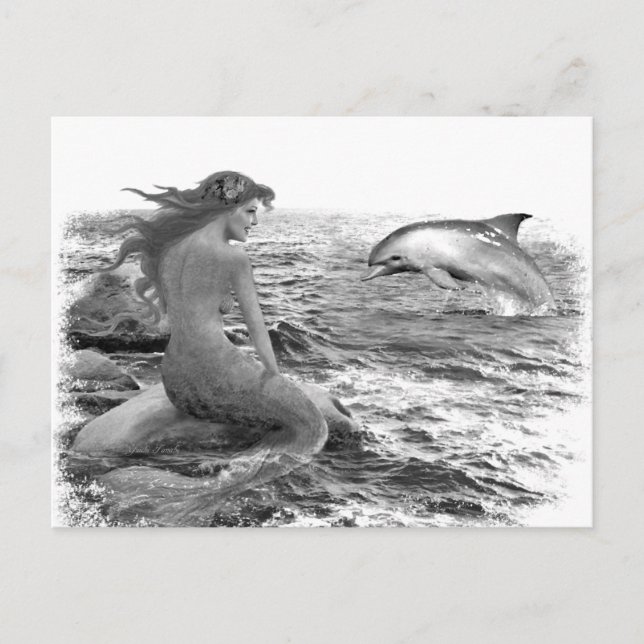 Mermaid and Dolphin Postcard (Front)