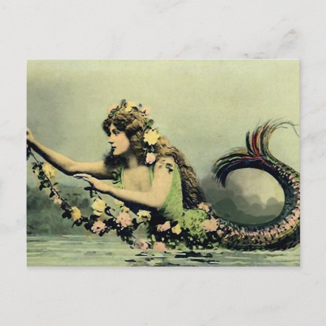 Mermaid and Roses Postcard (Front)