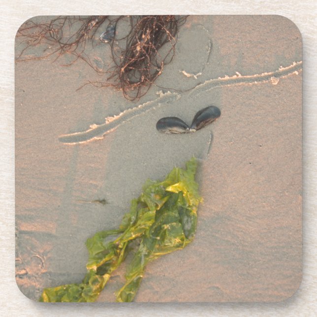 Mermaid Coaster (Front)