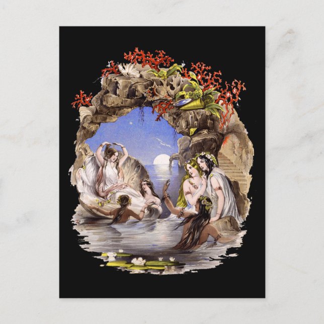 Mermaid Cove Postcard (Front)