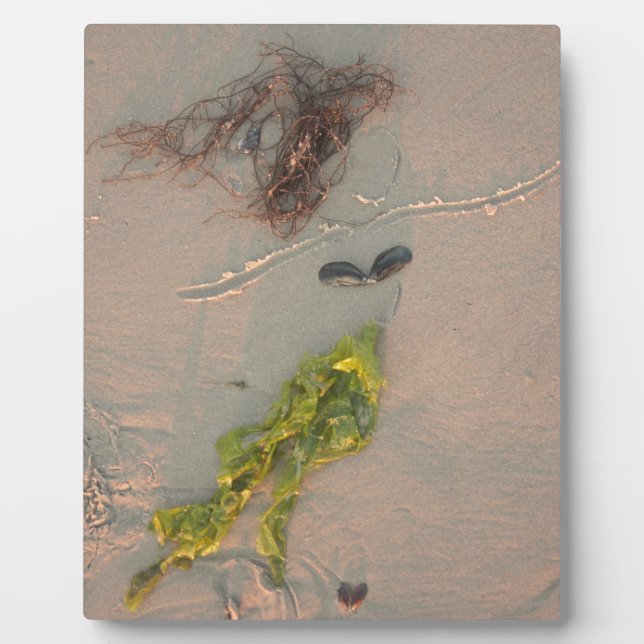 Mermaid Plaque (Front)