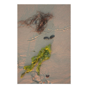 Mermaid Poster
