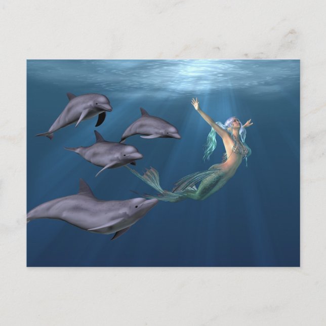 Mermaid With Dolphin Friends Ocean Postcard (Front)