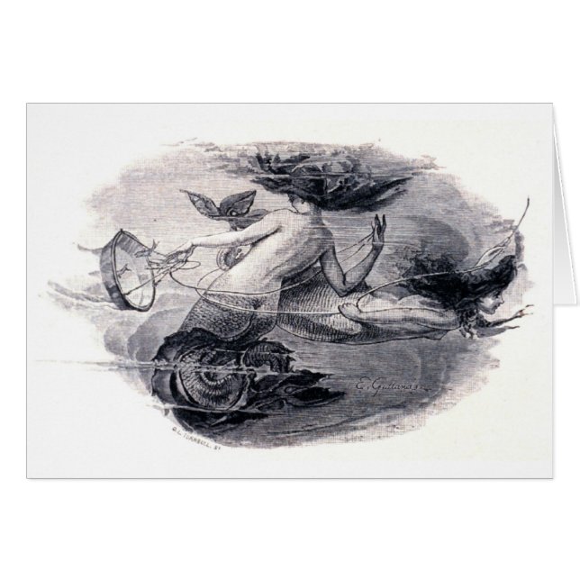 Mermaids Illustration (Front Horizontal)