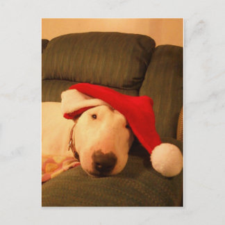 merra christmas santa hat holiday postcard