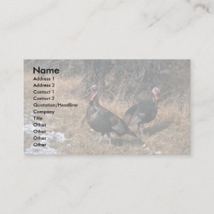 Merriams wild turkeys, gobblers business card