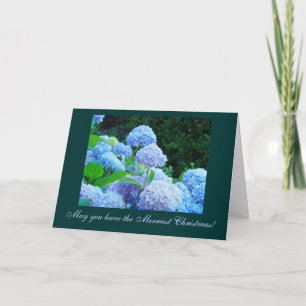 Merriest Christmas Cards Blue Hydrangeas Flowers