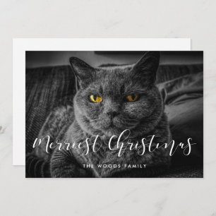 Merriest Christmas Elegant Family Photo Holiday Card