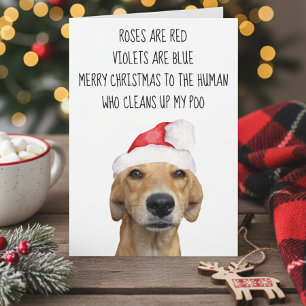 Merrry Christmas from the Dog Funny Card