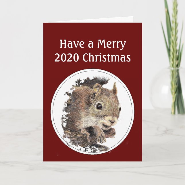 Merry 2020 Christmas In Spite of the Nuts!  Humour Holiday Card (Front)