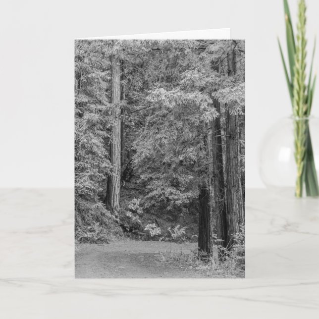 Merry Adventures Holiday Card (Front)