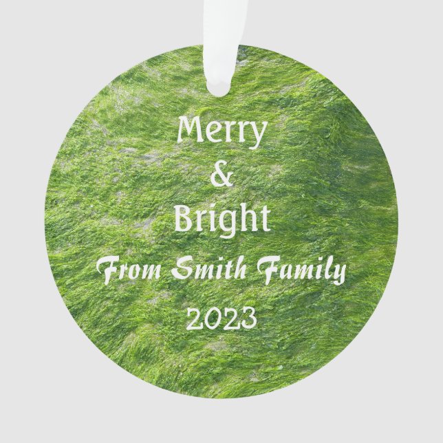 Merry & Bright Christmas Custom Name Sea Moss Gift Ornament (Front)