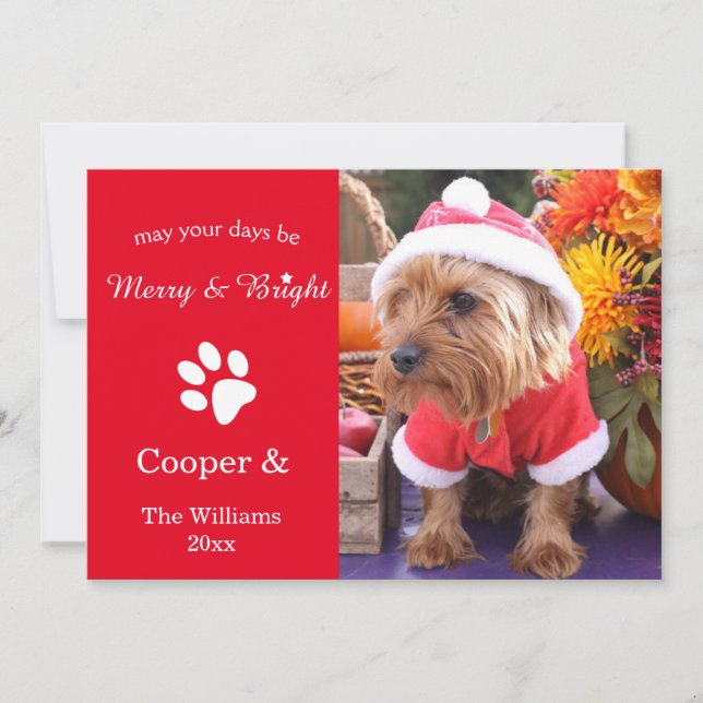 Merry & Bright Custom Christmas Pet Photo Card (Front)