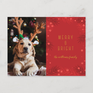 Merry & Bright Holiday Photo Card