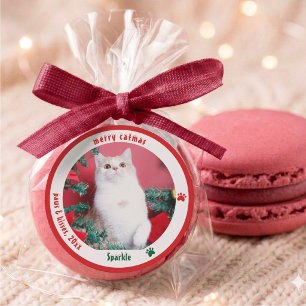 Merry Catmas Custom Pet Photo Christmas Labels