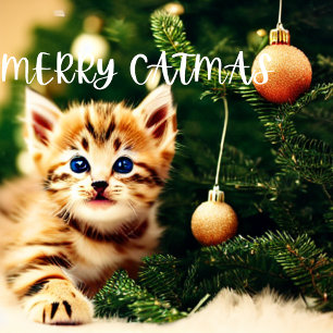 Merry Catmas Purrfect Christmas Card