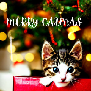 Merry Catmas Purrfect Christmas Card