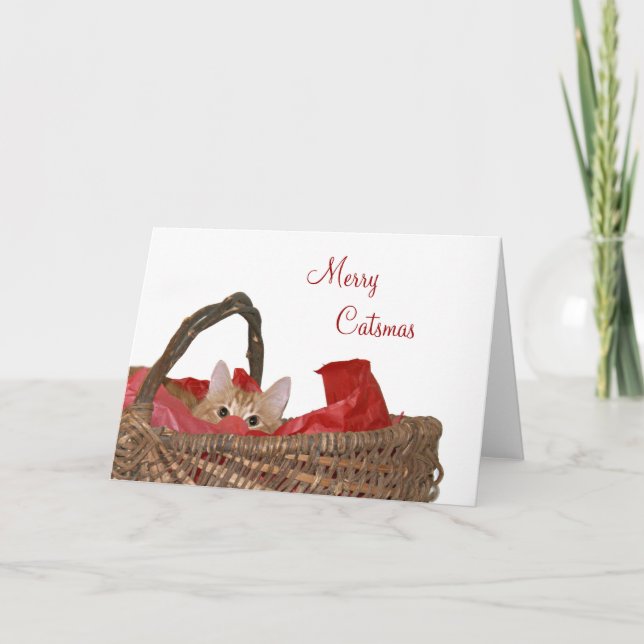 Merry Catsmas Holiday Card (Front)