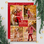 Merry Christmas 4 Photo Collage Gold<br><div class="desc">Real foil Christmas greeting cards feature your last name and the greeting Merry Christmas and Happy New Year in chic real gold foil lettering on red with your favorite 4 photo collage bordered in real foil on the front and your first names on the back. The Live Design Service can...</div>