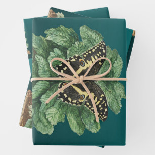 Merry Christmas and Happy New Year   Wrapping Paper Sheet