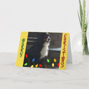 MERRY CHRISTMAS AND IT IS  **TIME TO PARTY*** CARD