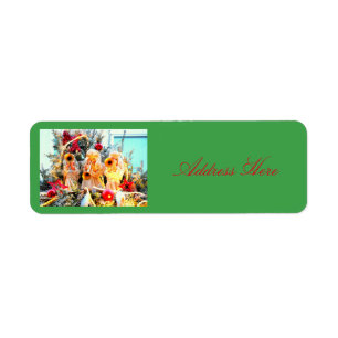 Merry Christmas angels trumpeting