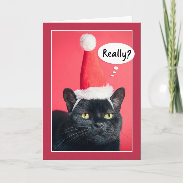 Merry Christmas Annoyed Cat in Santa Hat Humour Holiday Card (Front)