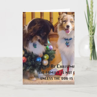 Merry Christmas Aussies Holiday Card